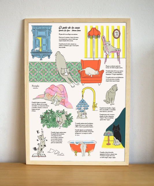 Lámina El gato de la casa - Periplo