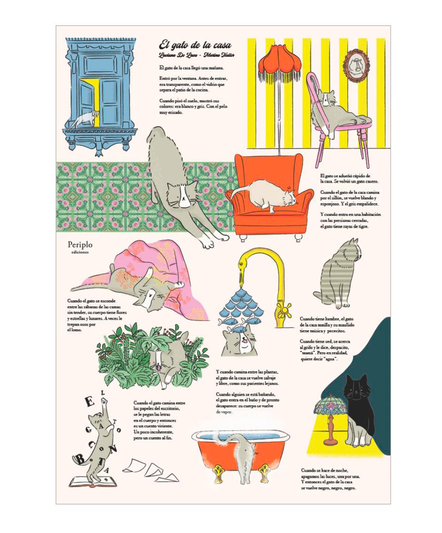 Lámina El gato de la casa - Periplo