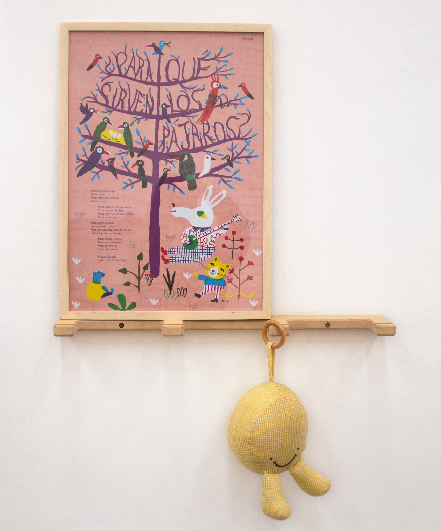 Lámina Para qué sirven los pajaros? - Periplo