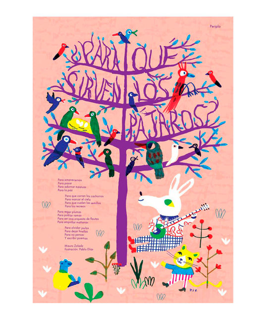 Lámina Para qué sirven los pajaros? - Periplo